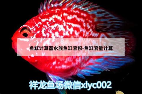 魚缸大小計算|水族箱容积计算器 